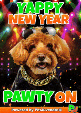 Happy New Year Pawty Pj Petjuvenate Happy New Years Pj Petjuvenate Pawty Dog Pup GIF