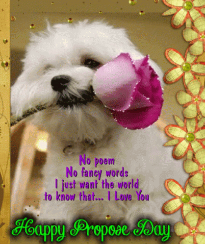Happy Propose Day No Poem GIF