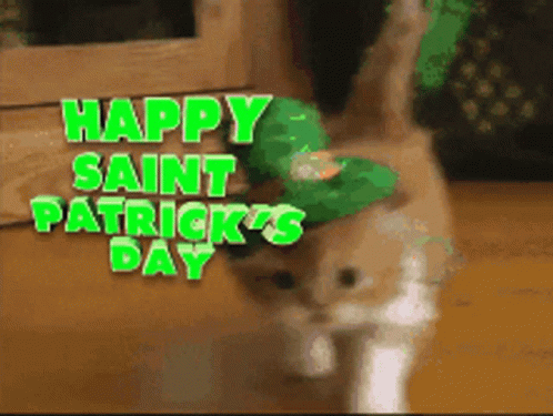 Happy Saint Patricks Day Cat GIF