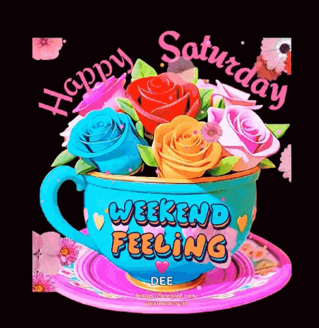 Happy Saturday GIF