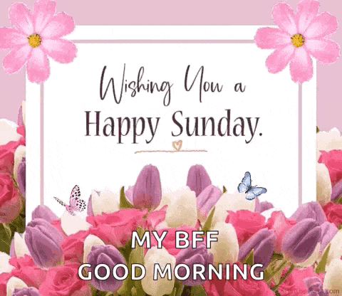 Happy Sunday GIF