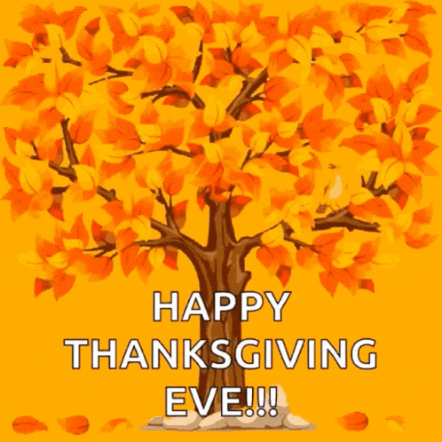 Happy Thanksgiving Eve GIF