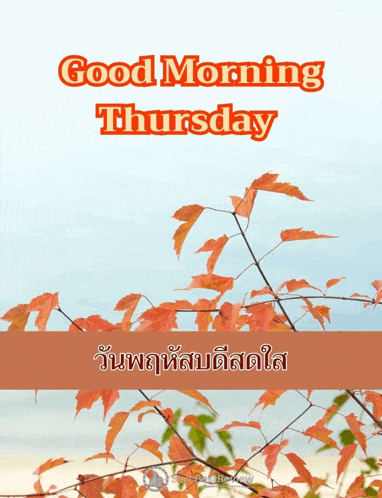 Happy Thursday Greetings Card Meme