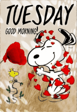 Happy Tuesday Its Only Tuesday GIF