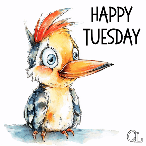 Happy Tuesday Weekday GIF