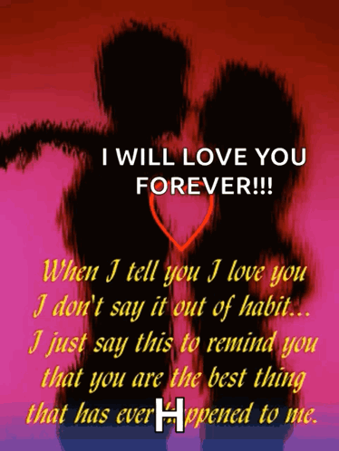 Happy Valentines Day Love GIF