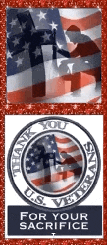 Happy Veterans Day GIF