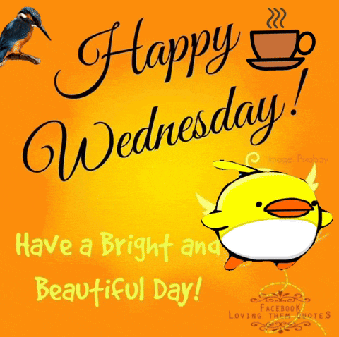 Happy Wednesday GIF
