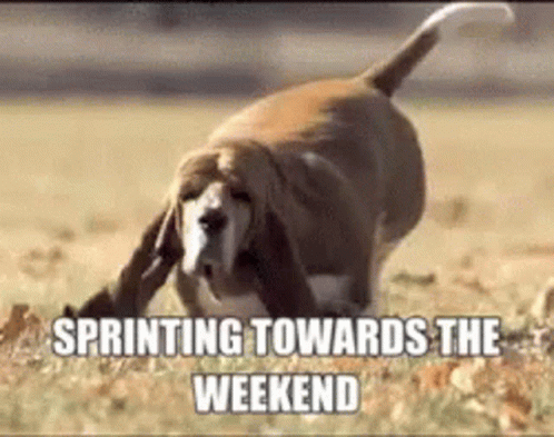 Happy Weekend GIF