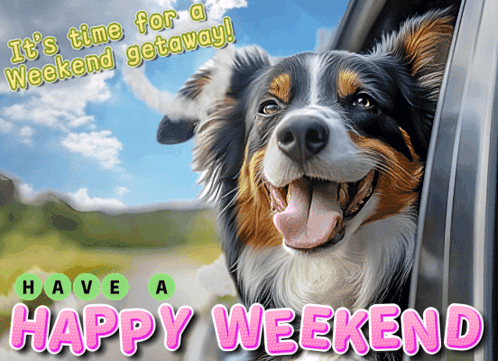 Happy Weekend Have A Happy Weekend GIF