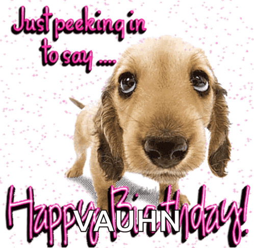 Happybirthday Dog GIF