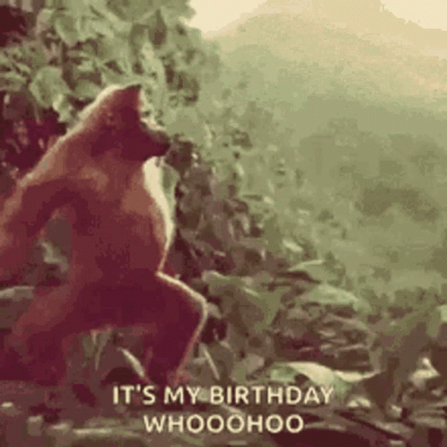 Happybirthday GIF