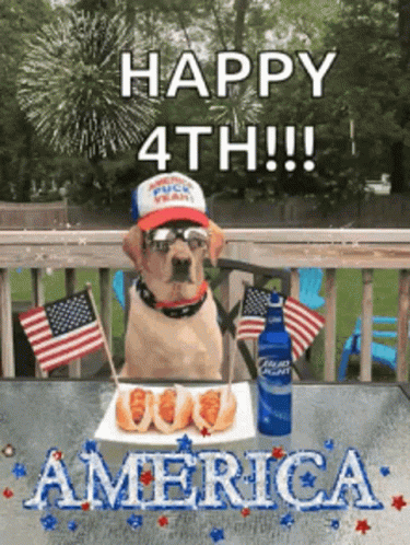 Happyfourthofjuly July4th GIF