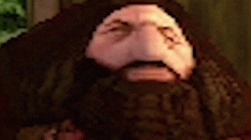 Harry Potter Ps1hagrid GIF