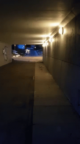 Harry Potter Sceneof Dementor Attack GIF
