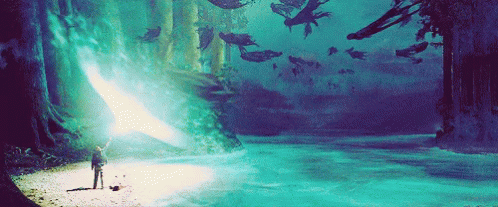 Harry Potter GIF