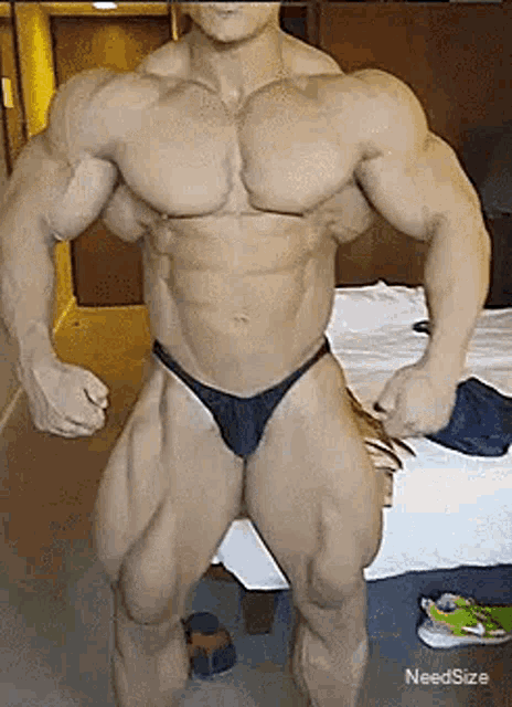 Hassan Mostafa GIF
