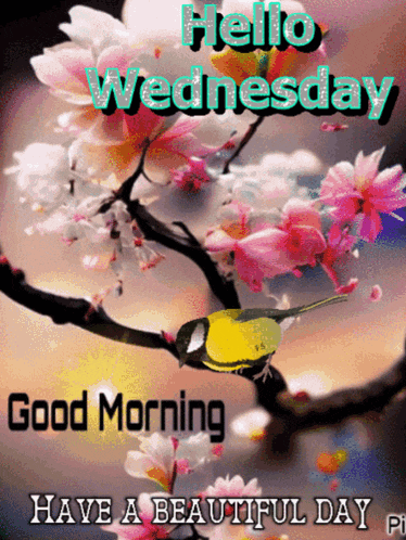 Have A Beautiful Day Wednesday Morning GIF