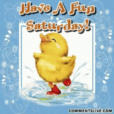 Have A Fun Saturday GIF