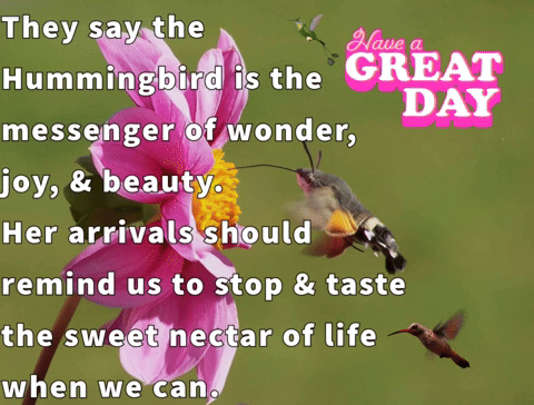 Have A Great Day GIF