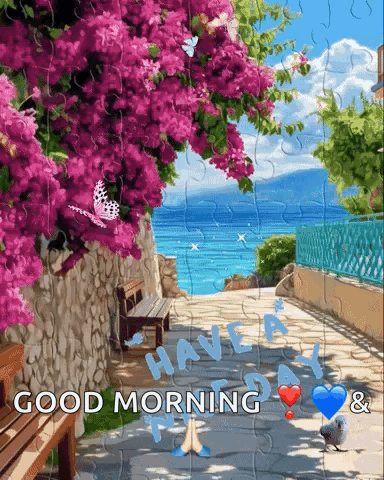 Have A Nice Day Sparkling Water GIF
