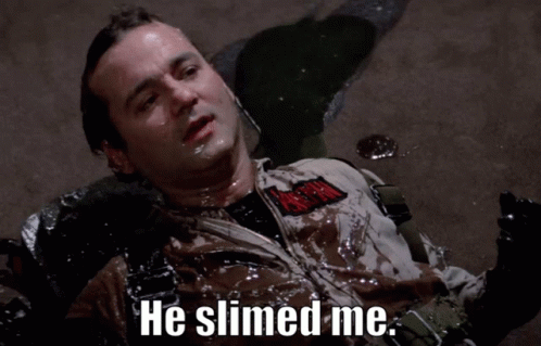 He Slimed Me Bill Murray GIF