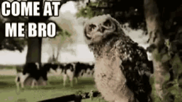 Head Nod GIF