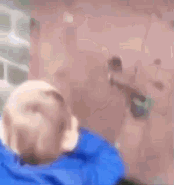 Headphones Aidphone GIF