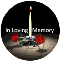 Healingpurrspawty Hpp Sticker