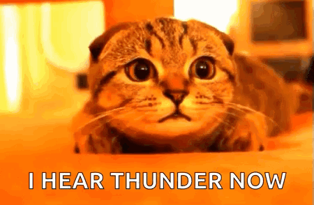 Hear Listen GIF