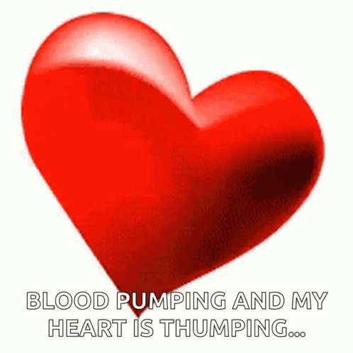 Heart Love GIF