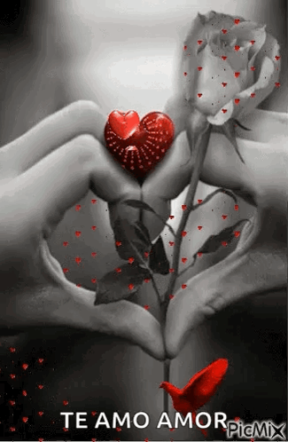 Heart Love GIF