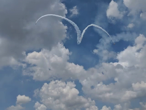 Heart You Heart GIF