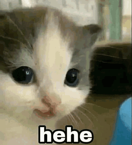 Hehedipsanu GIF