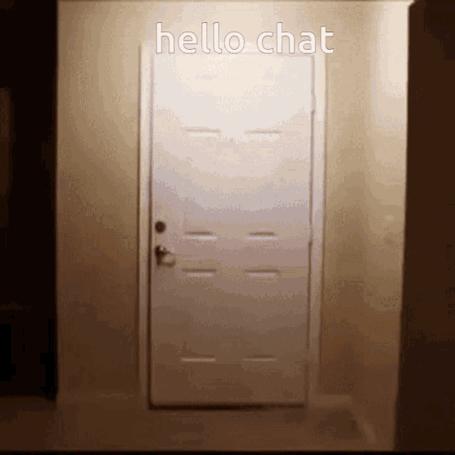 Hello Chat Bird GIF