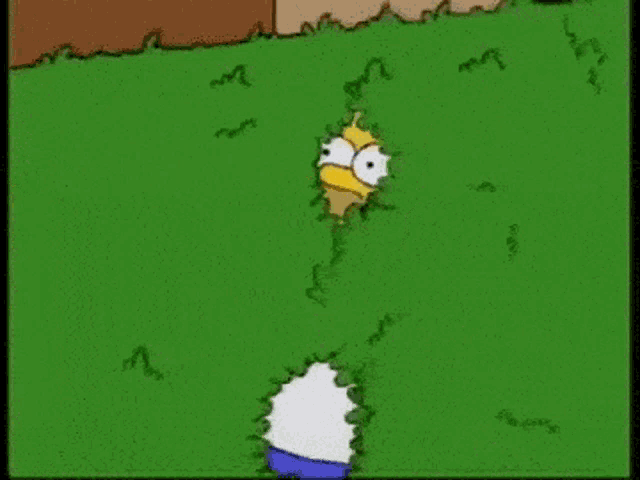 Hello Chat GIF