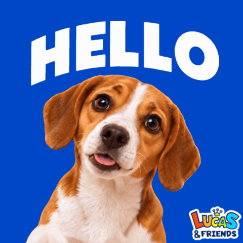 Hello Dog Hi GIF