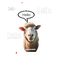 Hello Hallo Sticker