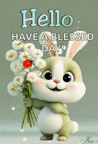 Hello Hi GIF