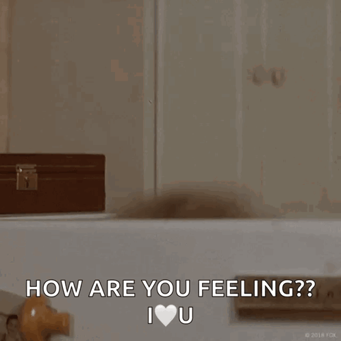 Hello Hi GIF
