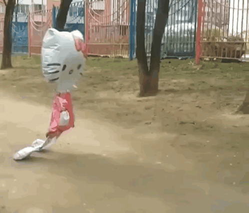 Hello Kitty Hello Cat GIF