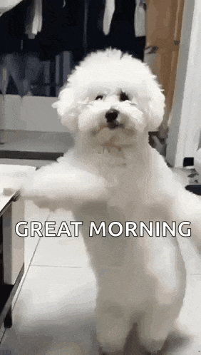 Hello GIF