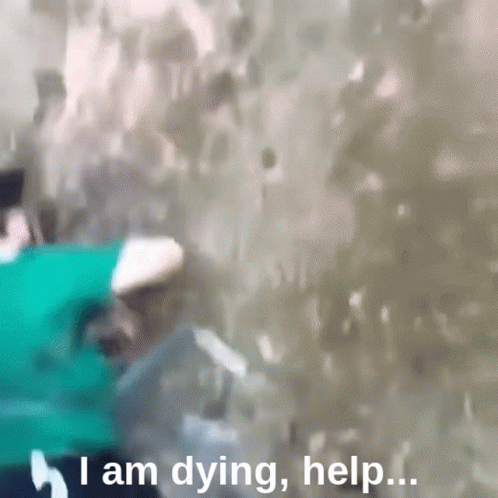 Help Me Help GIF