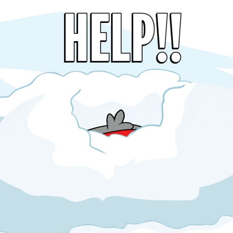 Help Penguin GIF