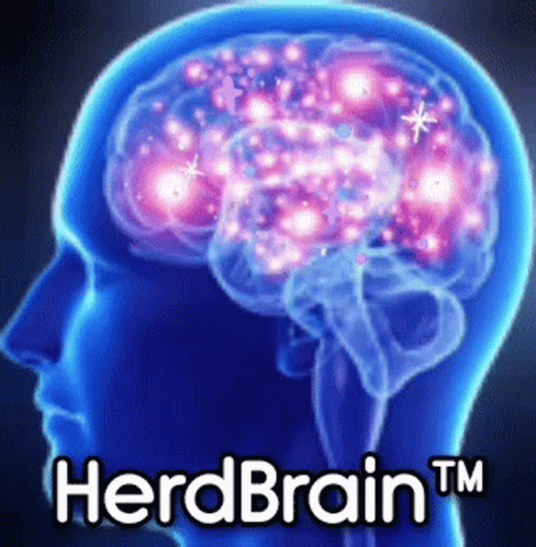 Herd Brain Herd GIF