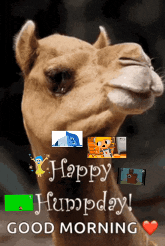 Hey Smartsetters GIF