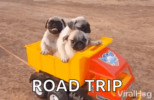 Hey There Friends GIF