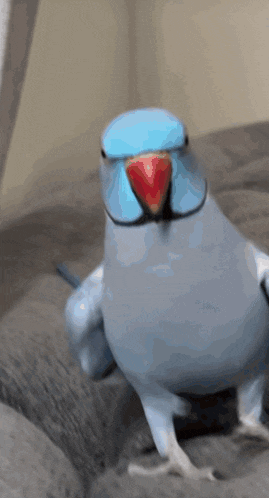 Hi Baby GIF