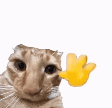 Hi Hello GIF