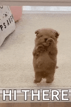 Hi Hello Puppy Dog GIF